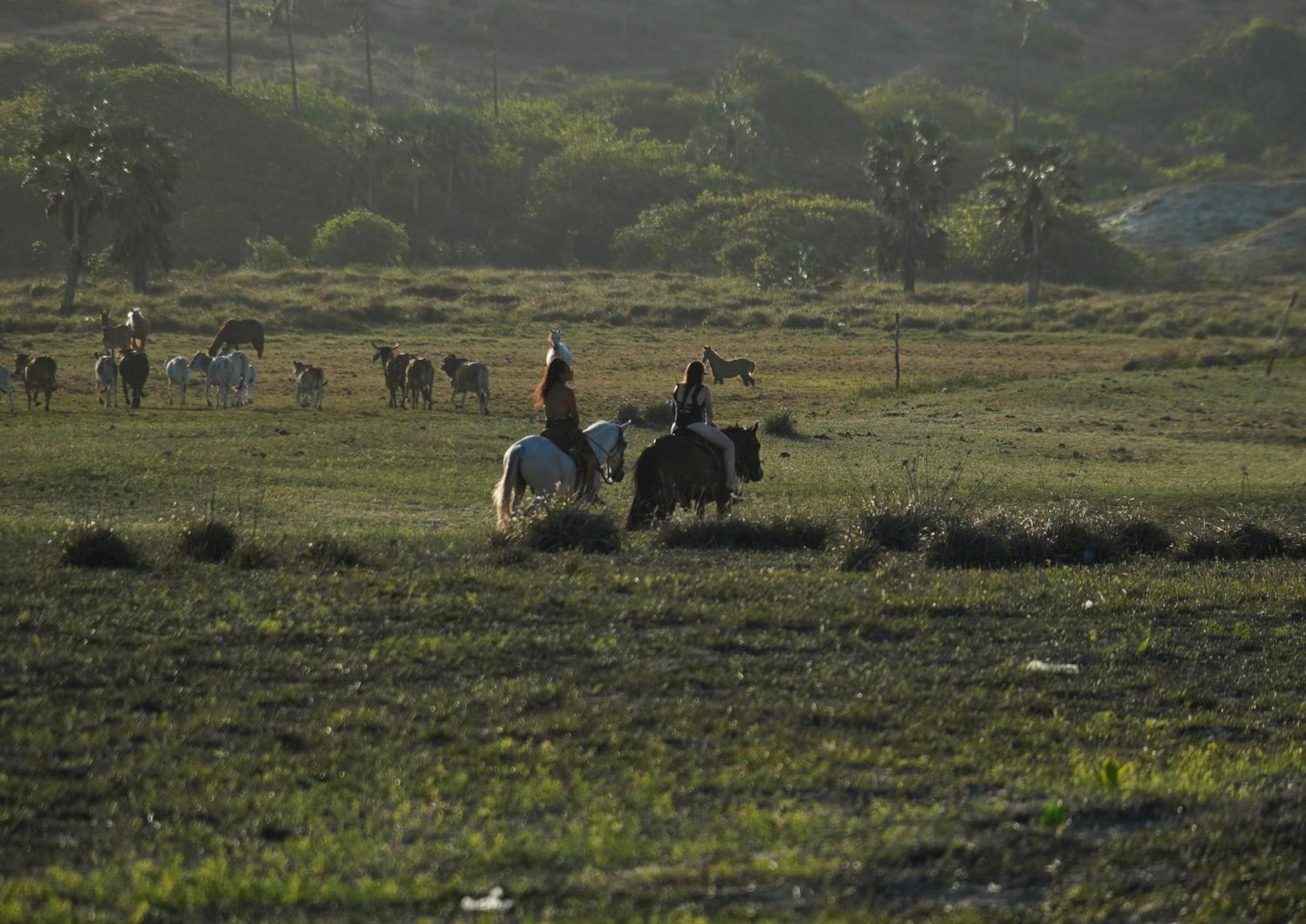 Pousada Por Do Sol Barra Nova Ngoại thất bức ảnh
